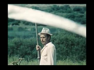 a strip of uncut wild flowers, teen's, ussr, 1979